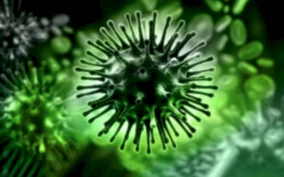 Sorularla Corana Virüsü