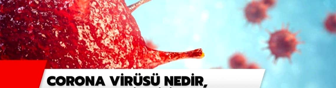 Corana Virüs Nedir ? Corana Virüs Nedir ?